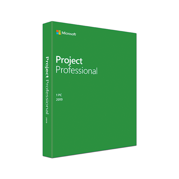 Project Pro 2019 Win English Medialess  -  FOR WIN 10 ONLY PROJECT
