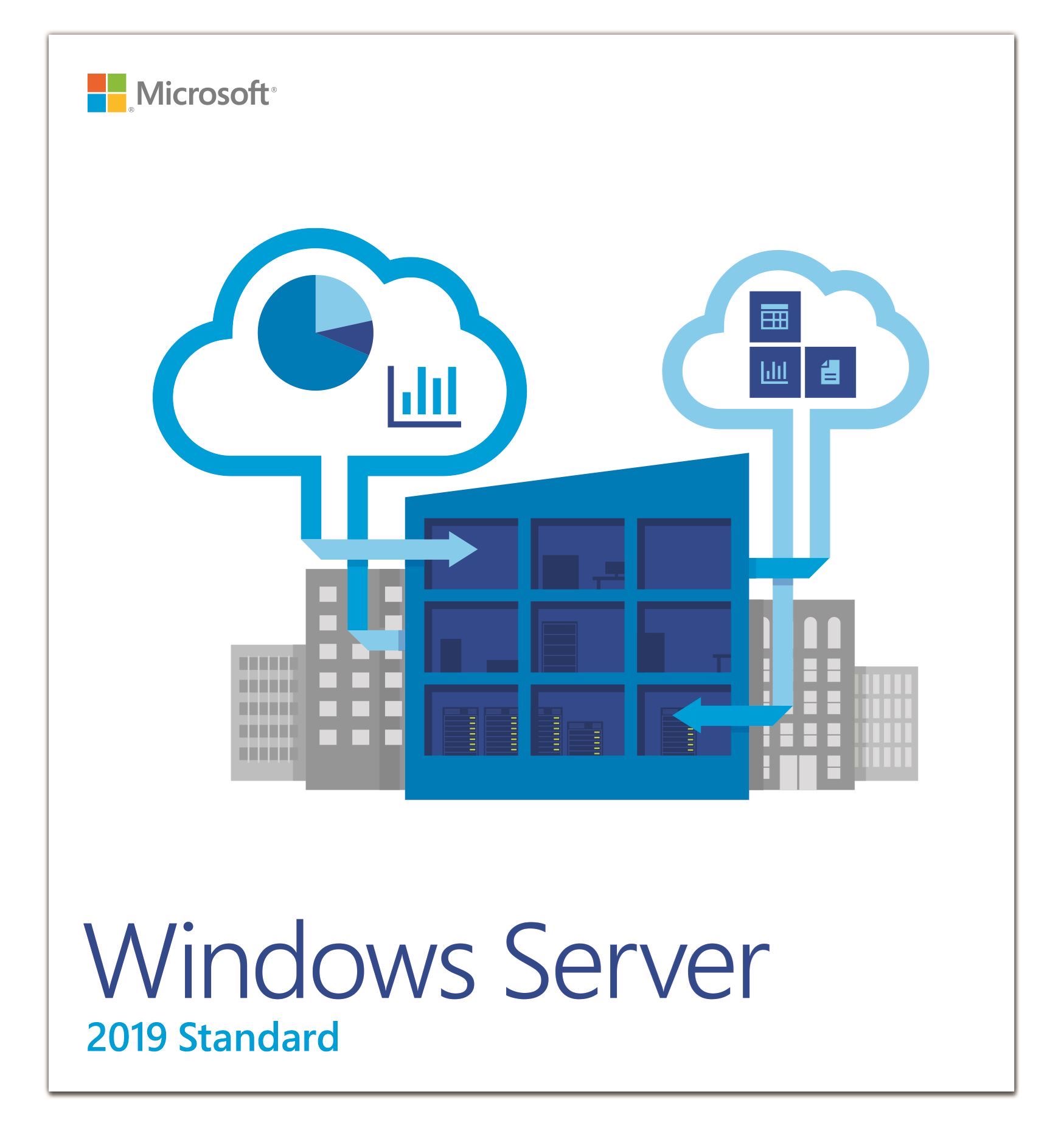 Windows Svr Std 2019 64Bit English 1pk DSP OEI DVD 16 Core WINDOWS