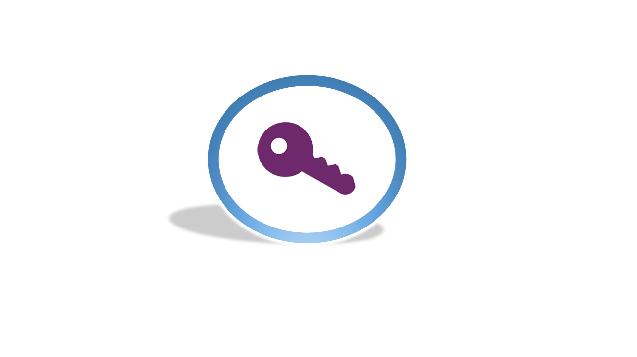 SafeNet High Speed Encryption Solutions SAFENET