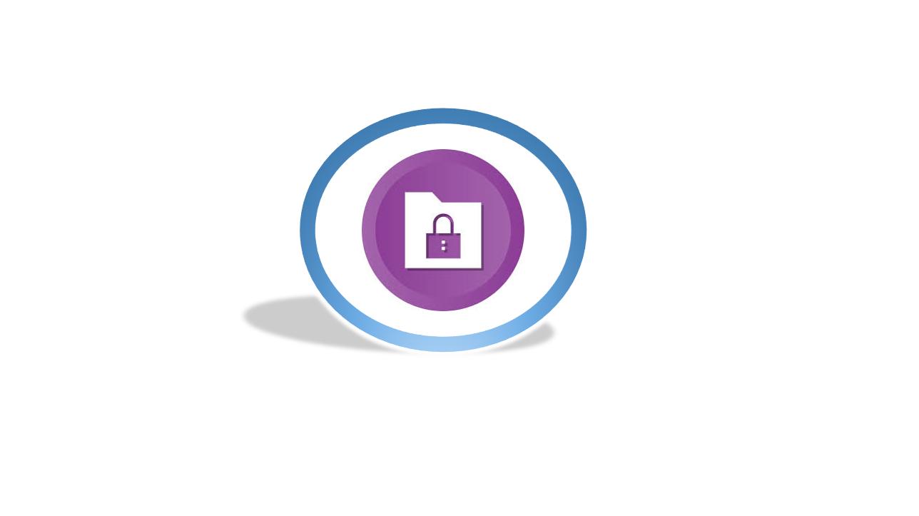 Vormetric Transparent Encryption VORMETRIC