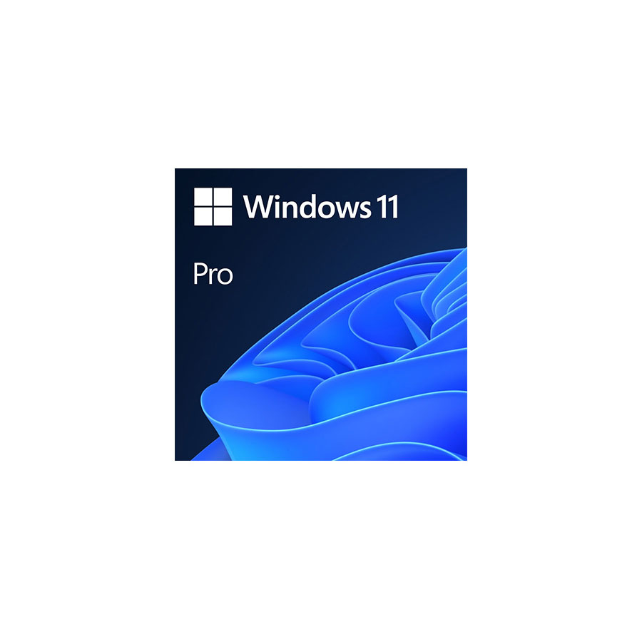 Win Pro 11 64-bit All Lng PK Lic Online DwnLd NR***ESD*** WIN