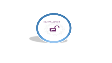 Vormetric Tokenization with Dynamic Data Masking